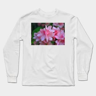 Spring is Here Long Sleeve T-Shirt